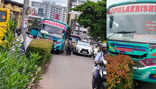Bus mounts divider